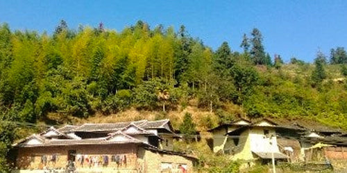 Anxi village surrounded by woods and bamboo forests. Our Tieguanyin oolong teas in the high mountains around Anxi.