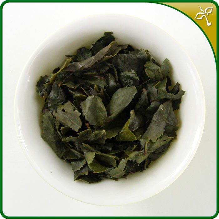 Competition grade Tie Guan Yin - Wet Leaf